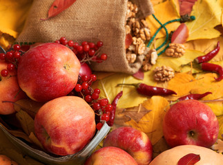 autumn harvest - fruits and vegetables are on fallen yellow leaves, nuts, apples, pumpkins, rowan and pepper. Perfect background for autumn season.