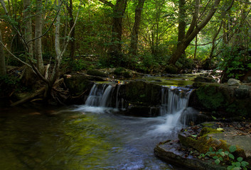 Small river with two small waterfalls flowing peacefully through a forest, the green reflecting in the water