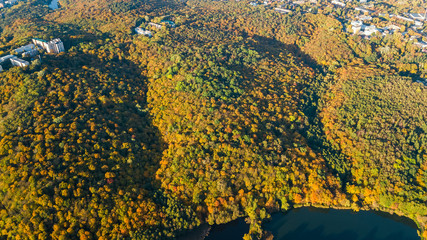 Golden autumn background, aerial drone view of forest with yellow trees and beautiful lake landscape from above, Kiev, Goloseevo forest, Ukraine

