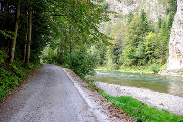 Fototapeta premium simple gravel country road in summer in forest