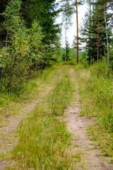 Fototapeta na wymiar simple gravel country road in summer in forest