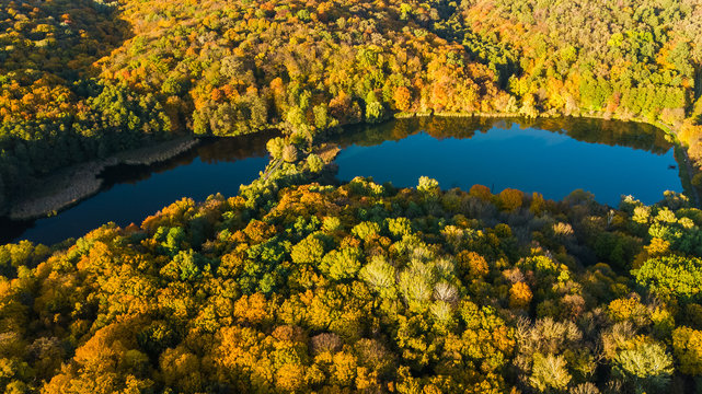 Golden autumn background, aerial drone view of forest with yellow trees and beautiful lake landscape from above, Kiev, Goloseevo forest, Ukraine
