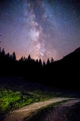 Milchstraße, Feldweg und schwarze Baum-Silhouetten, Nachtaufnahme 