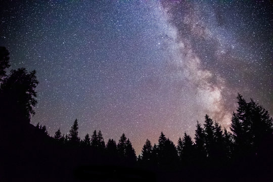 Milchstraße und schwarze Baum-Silhouetten, Nachtaufnahme 