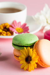 Fototapeta na wymiar Still life and food photo of cake macarons in a gift box with flowers, a cup of tea on light background. Sweets and desserts concept of macaroons.