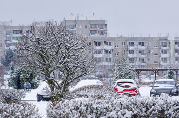 WINTER IN CITY - Snow-covered cars and a housing estate in the city