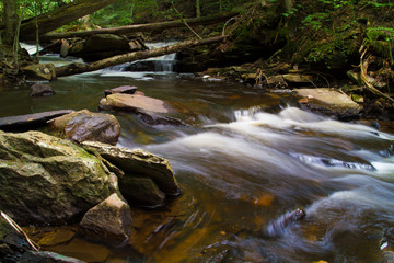 Fototapeta na wymiar Waterfall Flowing Through Timberland In Pennsylvania Gorge