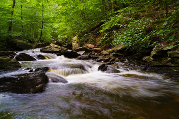 Waterfall Flowing Through Timberland In Pennsylvania Gorge