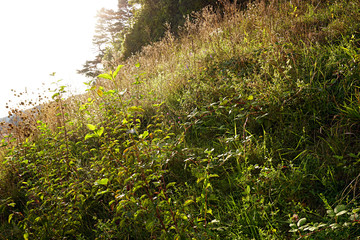 Romantische Natur in der Schweiz