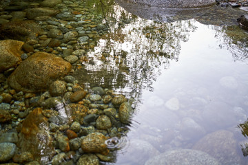 green transparent river with some reflectio