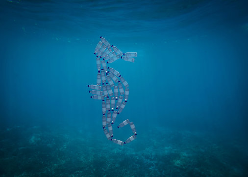 Seahorse made with plastic bottles, pollution that kill seaside