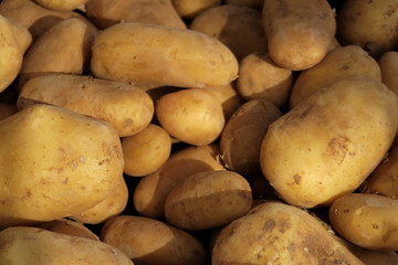 pommes de terre en vrac