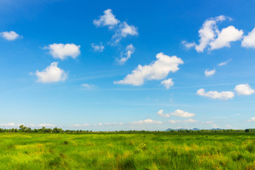 Beautiful green meadows and blue sky