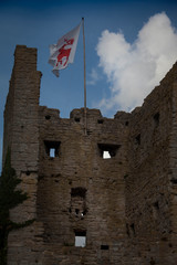 hart for ruin