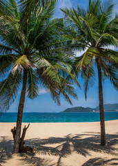 Obraz na płótnie Canvas Beautiful sandy beach with palm trees