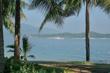 Fototapeta na wymiar Palm trees, the sea, in the distance a pleasure craft.