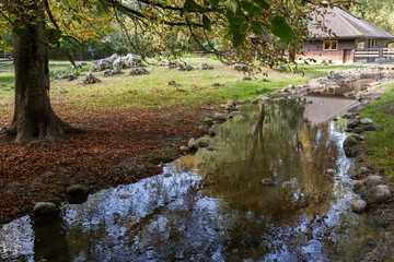 Ruisseau et maison