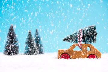 Car carrying Christmas tree in winter wonder land