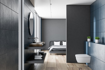 Blue bathroom, gray bedroom interior