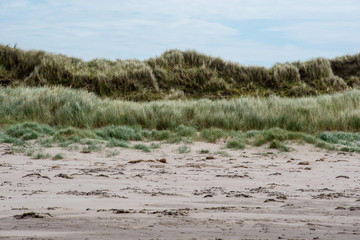 DUNE DE PLAGE 