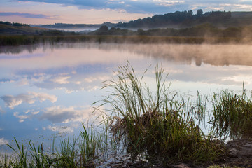trees on meadow covered in dense fog with beautiful pastel sky on background 
