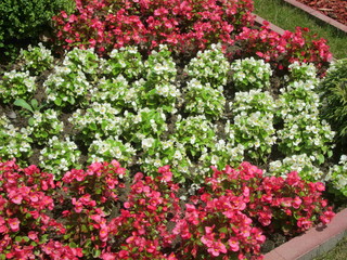 The Beautiful Backyard in Orthodox Monastery Manasija in Despotovac, Serbia