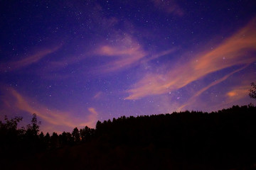 Im Schwarzwald eine Sternen reiche Nacht erleben