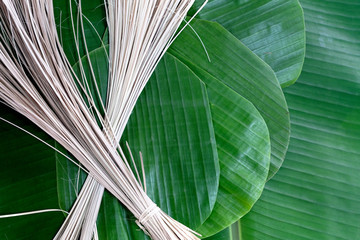 Banana leaf and bamboo for packaging.