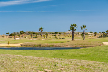 Green grass, lake and palm trees at a golf course on the Costa Blanca in Spain on a summer day