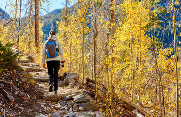 Tourist hiking in aspen grove at autumn