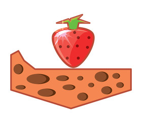 strawberry fruit icon
