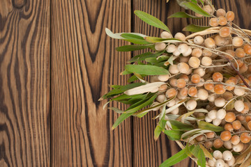 Wicker basket full of raw olives on twig with green leaves on old rustic wooden table with copy...