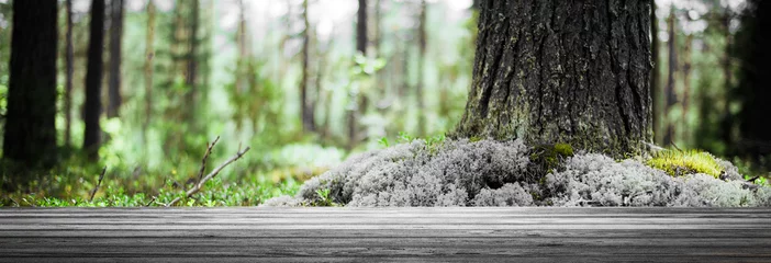 Foto auf Acrylglas Forest bokeh background © 1xpert