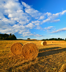 Summer Landscape, Bales of Straw in Stubble Field during Harvest