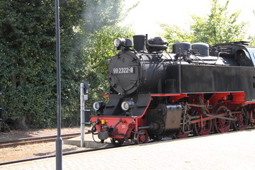 Fototapeta na wymiar Schmalspurbahn Molli 6