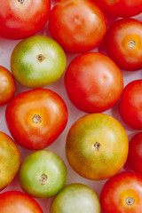 Group of multicolored cherry tomatoes