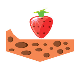 strawberry fruit icon