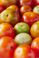 Group of multicolored cherry tomatoes