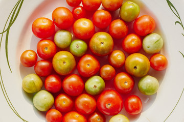 Group of multicolored cherry tomatoes