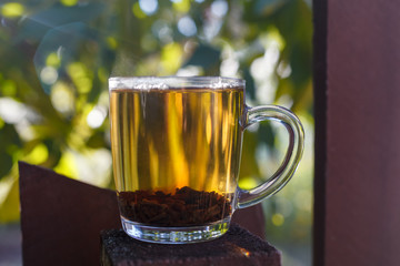 Cup of tea in nature