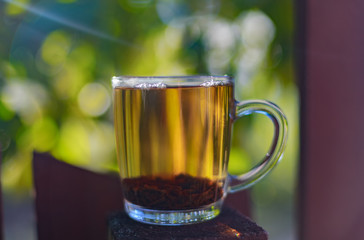 Cup of tea in nature