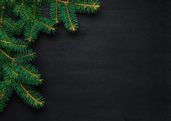 Spruce branches on a dark vintage wooden background