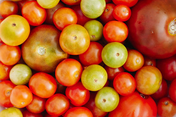 Naklejka na ściany i meble Group of multicolored cherry tomatoes
