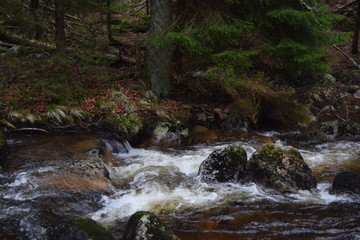Harz