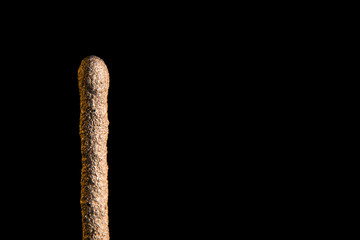 Unburned sparkler isolated on a black background is macro