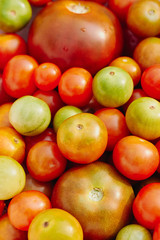 Group of multicolored cherry tomatoes