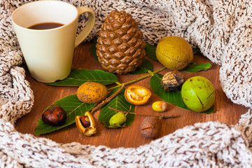 Tasse Kakao mit Herbst Dekoration aus Walnüssen, Kastanien und Blättern