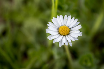 Obraz premium Tirol, Austria 