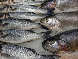 A lot of fresh raw fish on store shelve with ice
