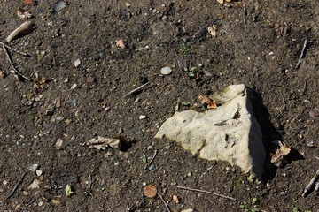 stone ground